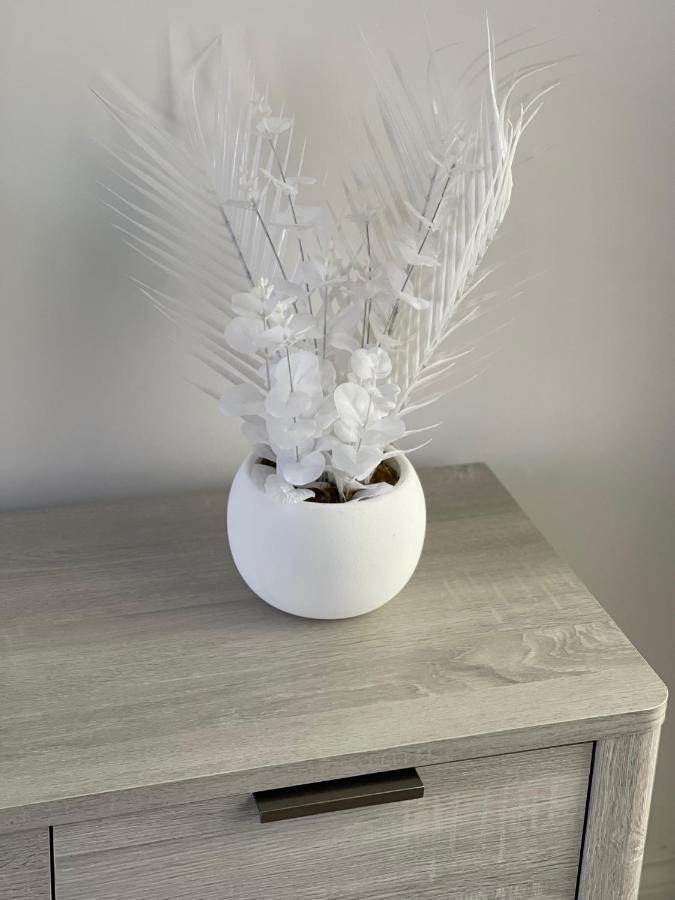 Edith Haven Tynemouth Fabulous Coastal Holiday Home With Free Onstreet Parking מראה חיצוני תמונה